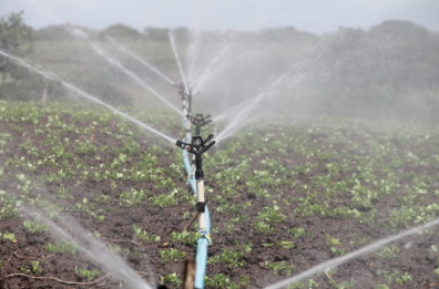 Acqua, arriva la stangata sugli agricoltori pugliesi: via libera gli aumenti retroattivi