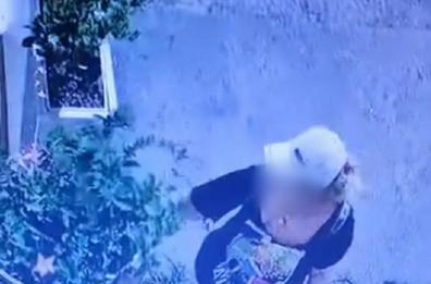 Molfetta, «inizia la stagione di raccolta piante»: così il proprietario del «Vecchio Gazebo» denuncia il furto dalla fioriera
