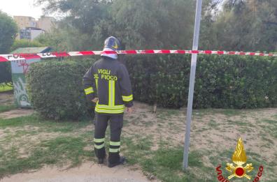 Pane e Pomodoro a Bari, falso allarme bomba: ritrovato un oggetto sospetto