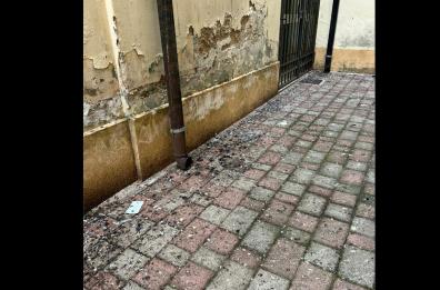 Fasano, nelle vie del centro storico è emergenza guano di piccioni 