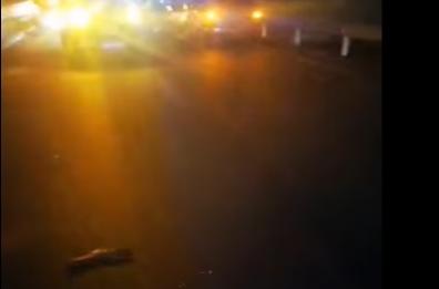Incidente sulla Barletta-Canosa: auto travolge 4 cinghiali, ferito 24enne
