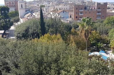 Canosa, arriva il daspo urbano per lo spacciatore della movida