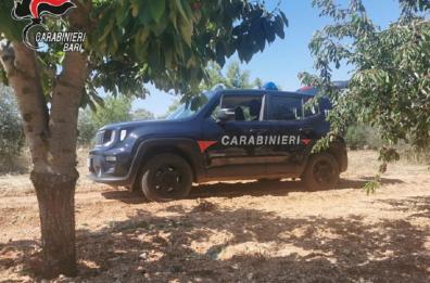 Caporalato nei campi del sud-est barese: in 14 rischiano il processo, 68 vittime