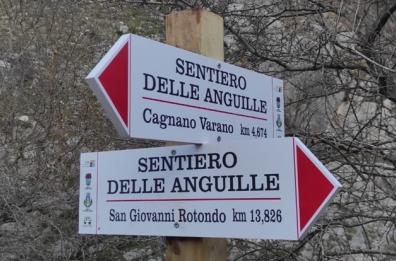 Da San Giovanni a Cagnano Varano, benvenuti sul Gargano segreto: viaggio nel «sentiero delle anguille»