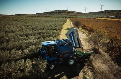 In Basilicata gli scarti agricoli come risorsa valgono fino a 81 milioni di euro