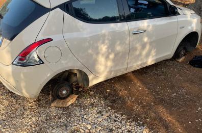 Furti a raffica nelle campagne del sud-est barese: bottino di diversi quintali d'uva, un'auto vandalizzata