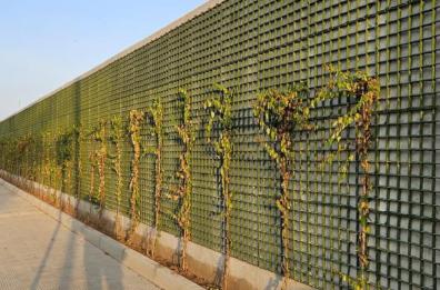 Barletta, alberi «ingabbiati» in via Veneto. Legambiente: violate le norme sul verde