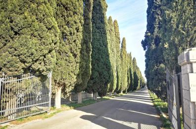 Gli stinchi, i Santi e... il manicomio