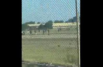 Rivolta dei migranti al Cara di Bari: invadono l'area militare di Palese. Bloccati accessi Aeronautica