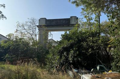 Bari, riscoperto l’ex vivaio comunale: «Un gioiello verde dimenticato»