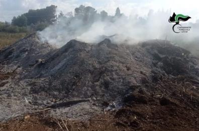 Maglie, accumula  rifiuti e appicca il fuoco: denunciato il titolare di un'azienda