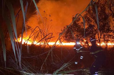 Maxi incendio nella riserva naturale de Le Cesine: fiamme partite dal bordo della strada
