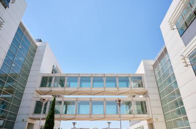 Foggia, l'Università di Medicina compie 25 anni: «Tra le prime realtà a livello nazionale»