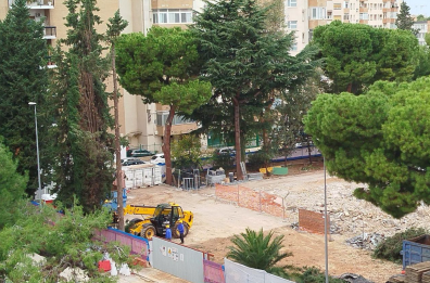 Giornata degli alberi, a Bari tante iniziative, ma esemplari a rischio a Poggiofranco