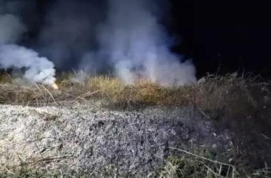 Torre Guaceto, in fiamme 300 metri quadri dell'area: &laquo;temiamo sia un incendio di natura dolosa&raquo;