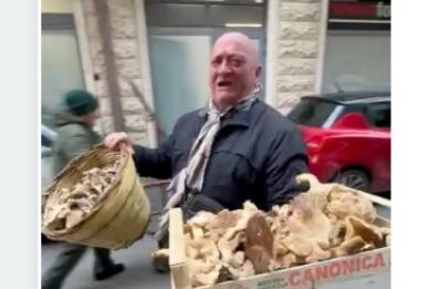 Pierino, il principe del Cardoncello colpisce ancora: trova dei funghi giganti. E il video diventa virale