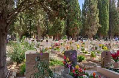 Cimitero di Lecce, nuovo ritrovamento di ossa nel lotto del mistero: è il terzo in un mese