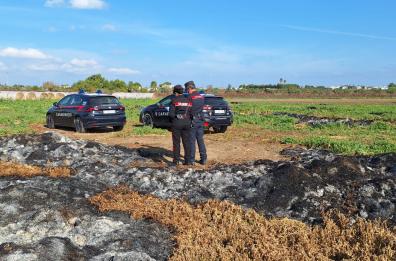 Odori nauseabondi a Veglie: i carabinieri scoprono 140 metri cubi di letame bruciato