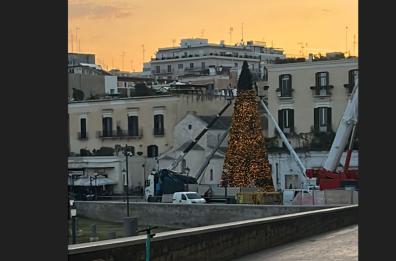 Bari, adesso è Natale: montato l'albero in piazza Ferrarese. Ecco il programma per la festa di San Nicola VIDEO