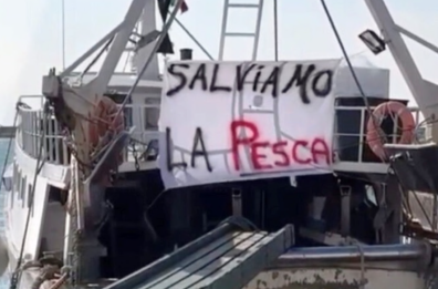 Manfredonia, flotta peschereccia dimezzata di oltre il 50%: mercato ittico in affanno