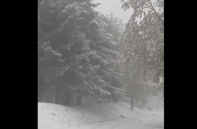 Maltempo, arriva la neve in Basilicata: venti gelidi soffiano in Puglia