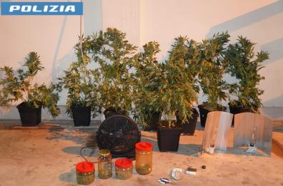 Taranto, nascondeva in casa una serra per la coltivazione di marijuana: 47enne arrestato
