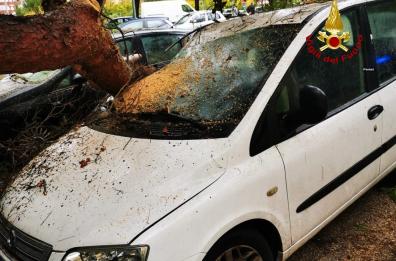 Maltempo, disagi in Salento: nel Leccese alberi e pali danneggiano auto