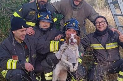 San Pietro Vernotico, cane da caccia precipita in un pozzo: salvato dai vigili del fuoco