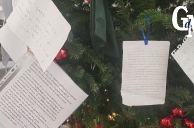 Politecnico di Bari, gli studenti dopo la lettera: «Tutti ci siamo sentiti soli. Ma la narrazione attorno è sbagliata»