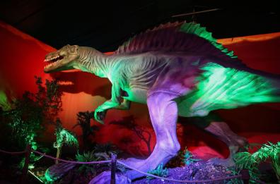 «Dinosaur invasion», a Bari la mostra interattiva con esemplari a grandezza naturale