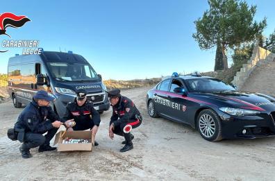 Castrignano del Capo, nascondeva in casa pericoloso ordigno artigianale: arrestato 30enne 