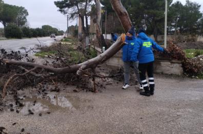 Maltempo, allerta gialla in Puglia: danni nel  Foggiano. Vigilia di Natale con pioggia e neve, aperitivi a rischio a Bari