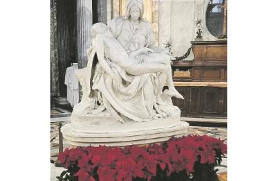 I fiori di Terlizzi abbelliscono il Santo Natale del Vaticano