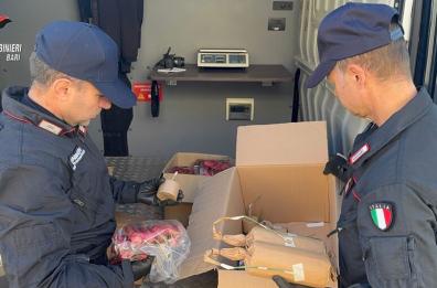 In un box nascondevano 613 chili di botti ed esplosivi: due arresti ad Altamura
