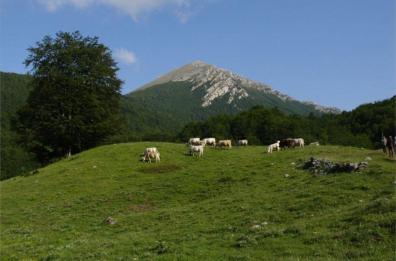 Basilicata, stanziati oltre 7 milioni di euro per i cinque parchi naturali