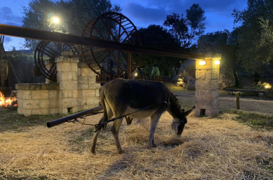 «Nel presepe vivente di Pezze di Greco gli animali vengono maltrattati», scatta l'esposto in Procura
