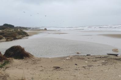 Esonda il fiume Idume nel Salento: strade allagate e acqua nelle case a Torre Chianca
