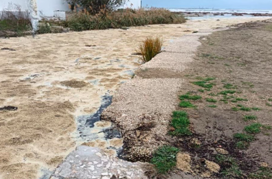 Manfredonia, sul fiume Siponto "non sono liquami ma solo acqua stagnante mista ad alghe e sabbia"