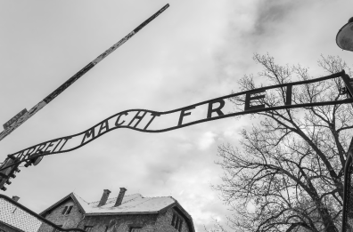 Rinnovare sempre la memoria della Shoah