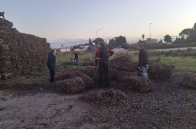Monteroni di Lecce, vandali distruggono la Focara di Sant'Antonio. La sindaca: «Uno sfregio alla comunità»