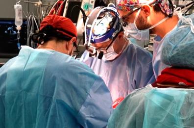 Bari, eseguiti tre trapianti di cuore in 24 ore al Policlinico