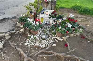 Morì a 21 anni schiantandosi con l'auto contro un pino: il comune di S.Pietro Vernotico risarcirà la famiglia