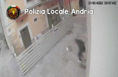 Andria, immortalato dalle videocamere mentre fa la cacca in pieno centro: multato dalla polizia