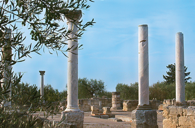 Canosa di Puglia, a occuparsi dei siti archeologici ci pensano gli ex tombaroli 