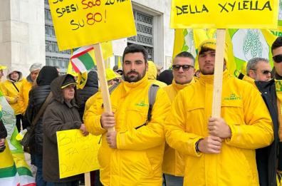 Bari, il flashmob degli agricoltori dalle campagne sul Lungomare: «Burocrazia fa più danni della Xylella»