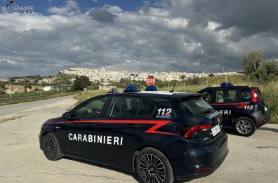 Lascia i cinghiali liberi e l'ordinanza li fa abbattere: minacce social a sindaca Minervino Murge e ad altri ufficiali, arrestato 46enne