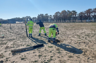Dune protette e recintate sul lungomare Mennea a Barletta