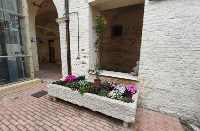 San Severo ricorda Mario La Pietra con un albero di mimose. L'uomo ucciso con una coltellata dalla compagna: l'autopsia conferma