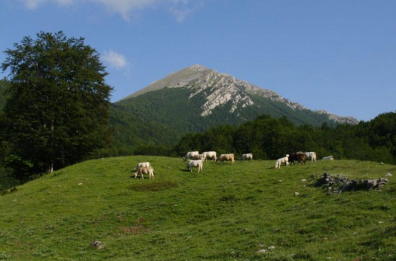 Due turisti pugliesi si perdono durante un'escursione: salvati nel Parco del Pollino in Calabria 