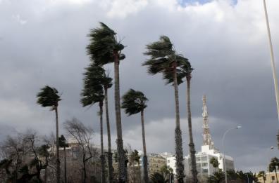 Meteo avverso, allerta gialla sulla Puglia per venti di burrasca fino al 15 marzo